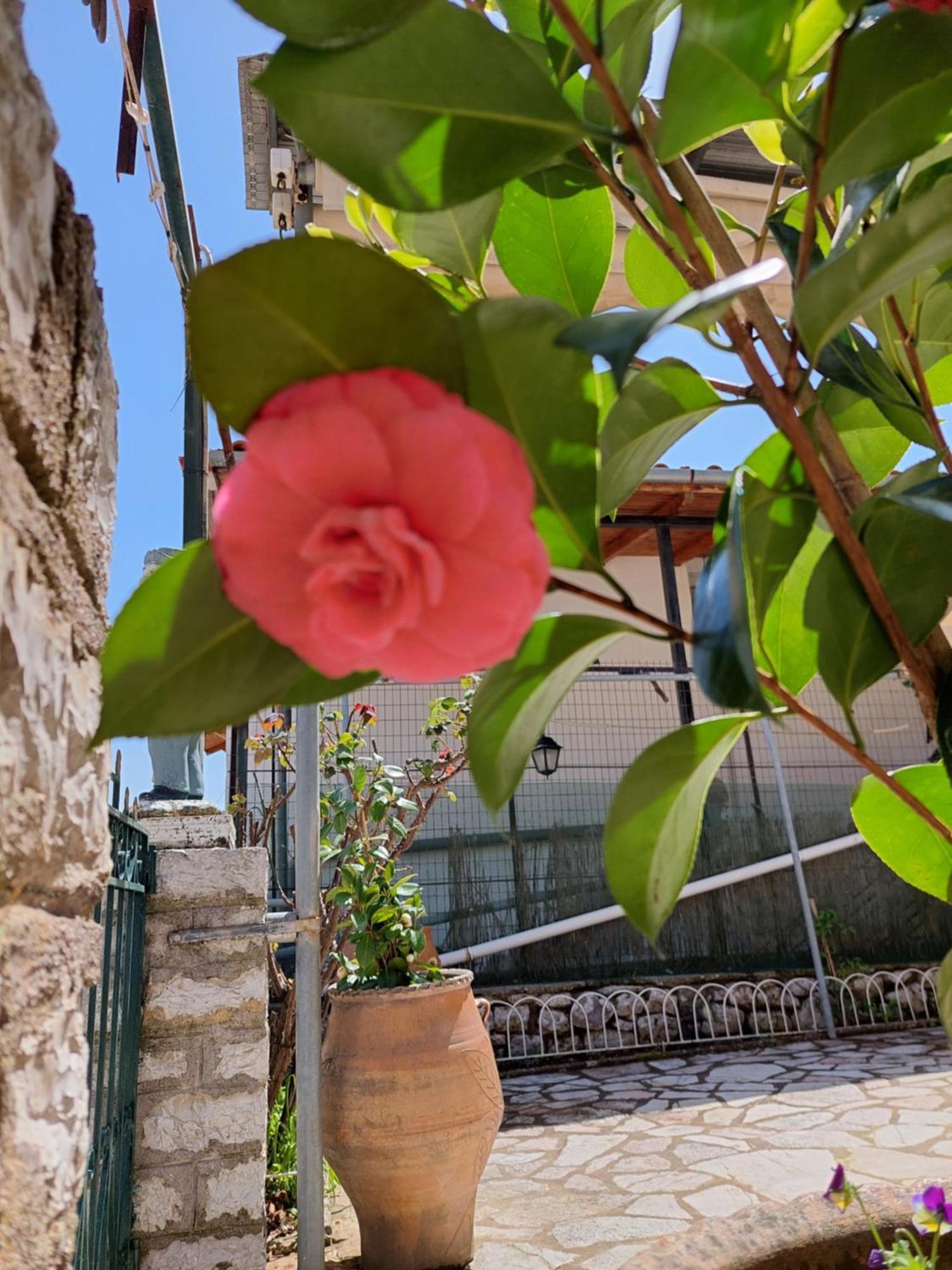 Αρτέμιδα Plus Karpenisi Apartment Exteriér fotografie